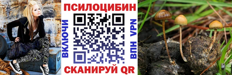 Галлюциногенные грибы прущие грибы  Кондрово 